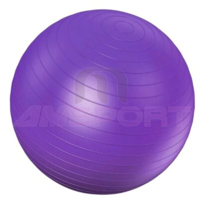 PELOTA PILATES ECCO 85 CM